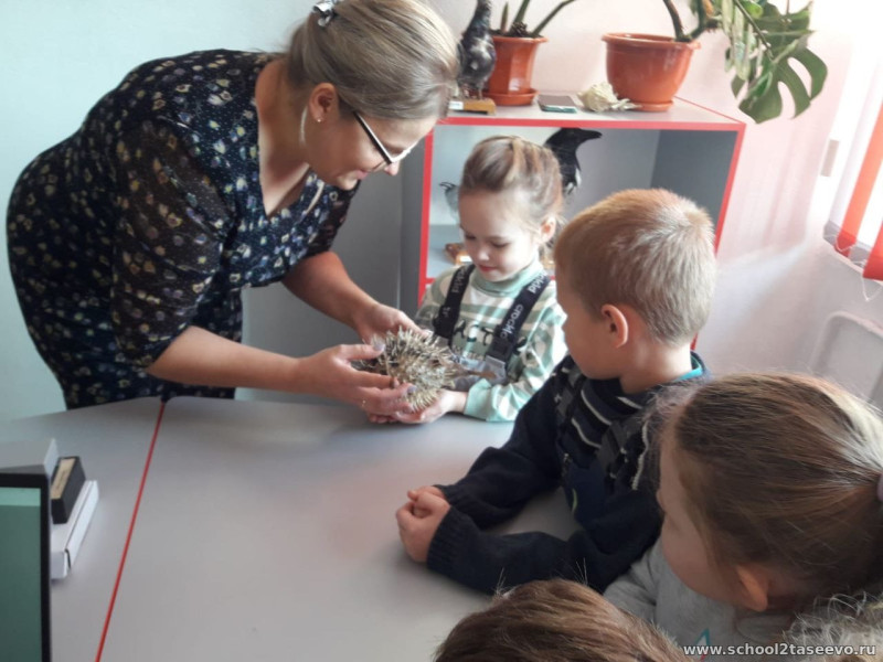 Воспитанники детского сада №6 «Сказка» посетили Центр естественно-научной и технологической направленностей «Точка роста».